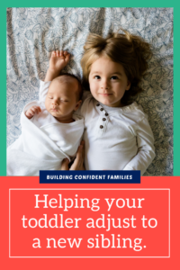 Having a new baby is a big change for a toddler.  Learn when to introduce the pregnancy and how to help your toddler adjust.